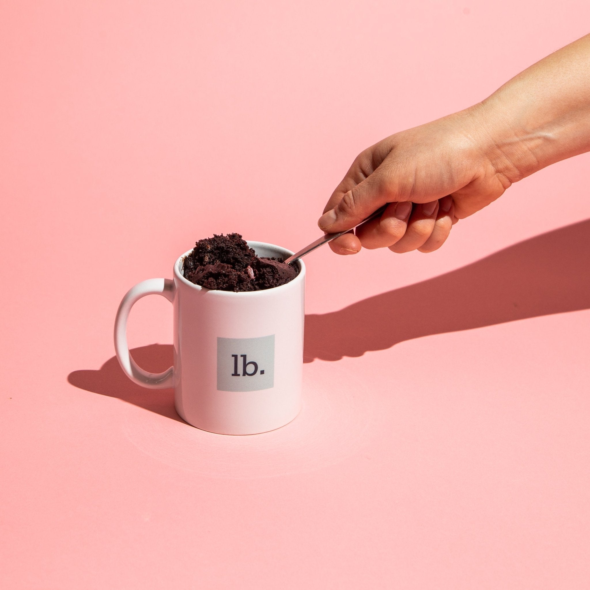 Chocolate Mug Cake - Lazy Bake